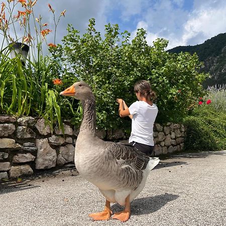 Agriturismo Girasole Fai della Paganella Eksteriør billede