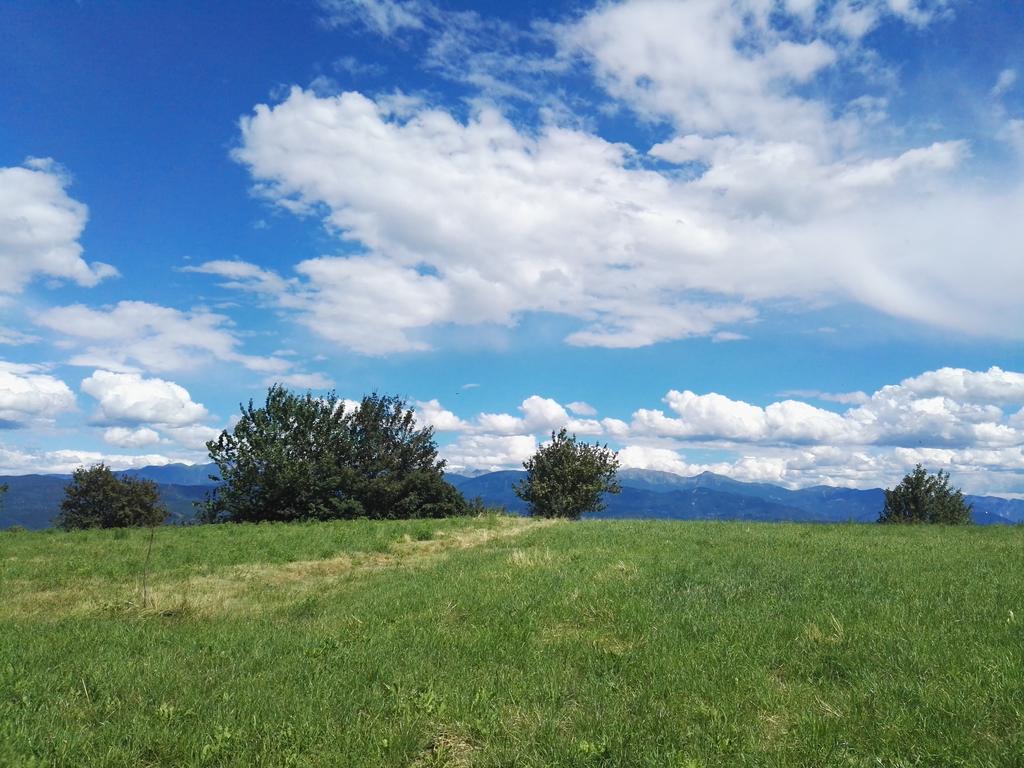 Agriturismo Girasole Fai della Paganella Eksteriør billede